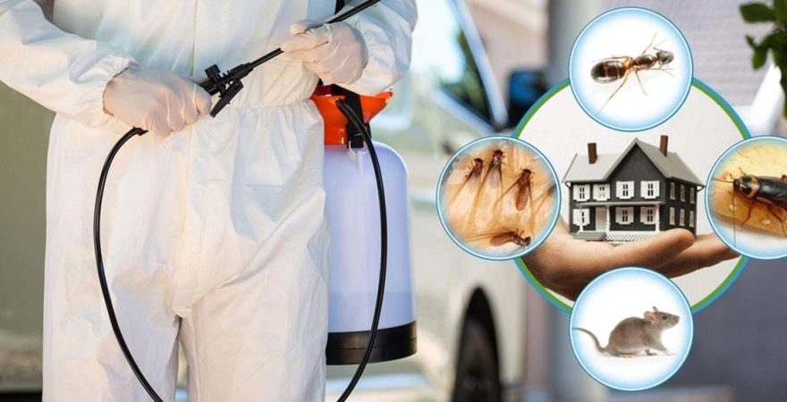 Aslanapa Böcek İlaçlama