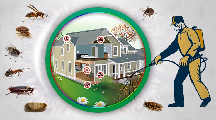 Aslanapa Böcek İlaçlama