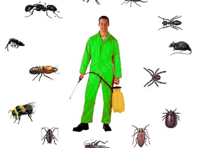 Aslanapa Böcek İlaçlama